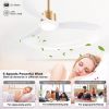 52" Ceiling Fans with Lights and Remote Control, Outdoor Ceiling Fan with Lights High CFM Quiet 3 Blade Wood Walnut Ceiling Fan