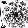Flying Dandelion - Large Wall Decals Stickers Appliques Home Decor